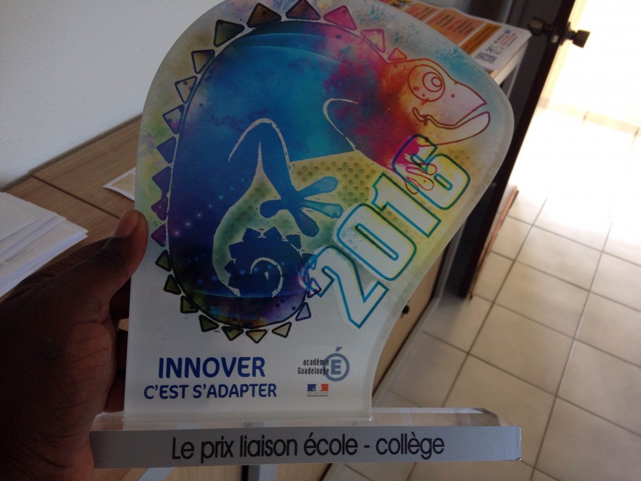 JOURNEE ACADEMIQUE DE L’INNOVATION :  Le service de l'éducation de Saint-Barthélemy et Saint-Martin a reçu un prix spécial