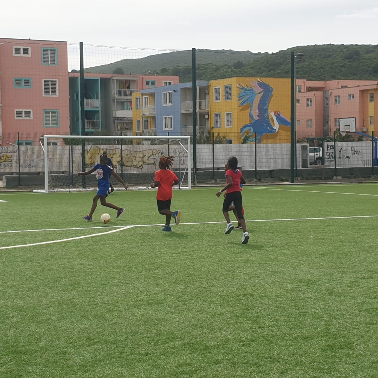 Année sportive à l'école Omer ARRONDELL !