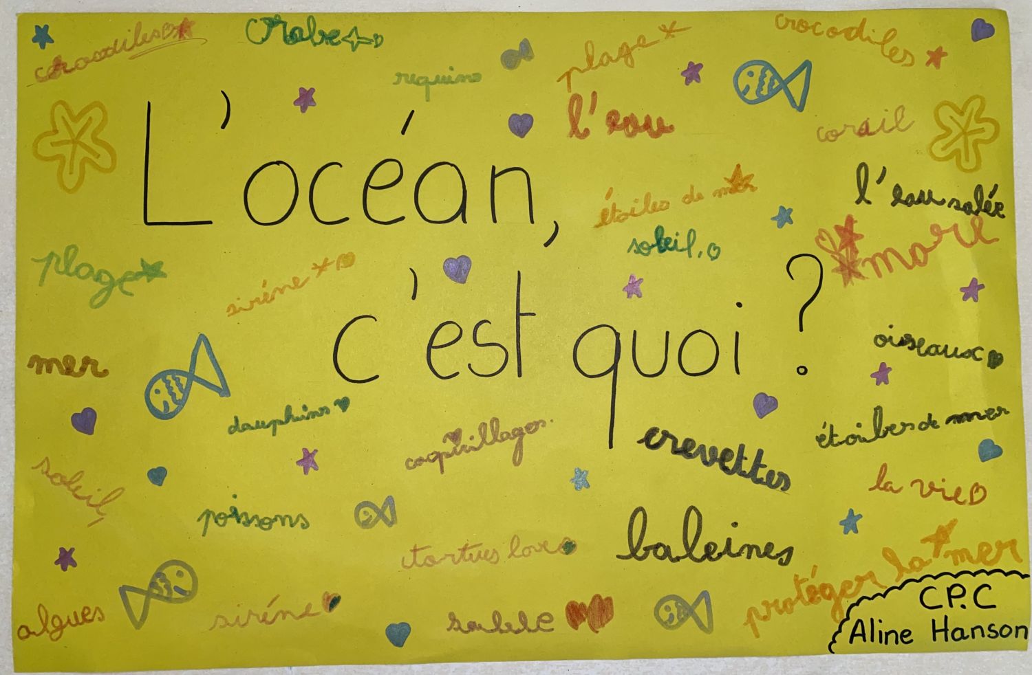 Notre océan, cette merveille !
