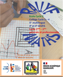 31ème rallye mathématiques de l’IREM : Des équipes de Saint-Martin dans le top 15 académique !
